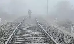 राजस्थान में मौसम करवट ले रहा है, बारिश के बाद ठंड तेज; कई जिलों में घना कोहरा छाने की चेतावनी