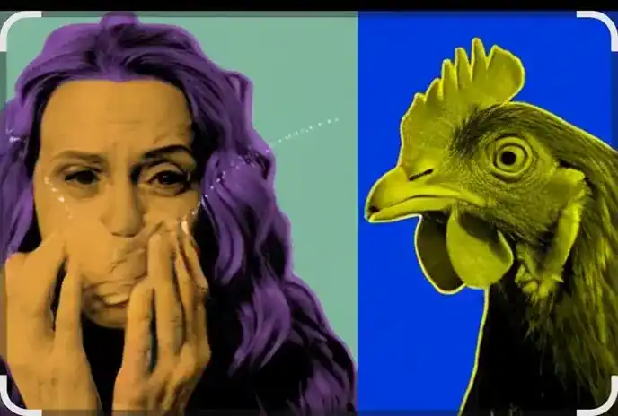 बर्ड फ्लू पर नई वैज्ञानिक खोज: तेज बुखार भी नहीं रोक पाता वायरस की बढ़त,क्या फैलेगी महामारी! बर्ड फ्लू पर नई वैज्ञानिक खोज: तेज बुखार भी नहीं रोक पाता वायरस की बढ़त,क्या फैलेगी महामारी!