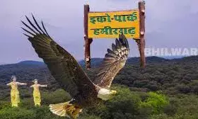 वन भूमि में 5.20 करोड़ खर्च कर 5.61 लाख पौधे लगाए, 25 प्रतिशत पौधे भी जीवित नहीं, उच्च स्तरीय जांच की मांग