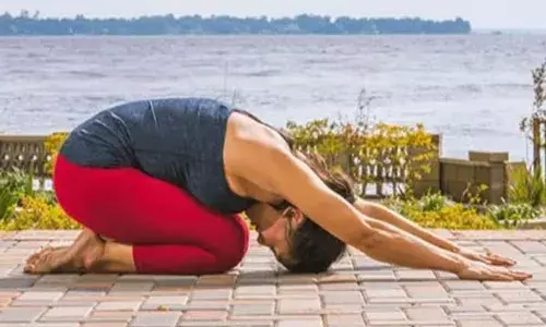 बुजुर्गों के लिए वरदान हैं ये योगासन, दूर होगा जोड़ों के दर्द और तनाव