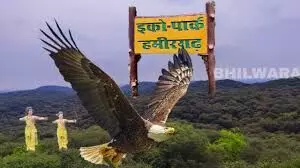 वन भूमि में 5.20 करोड़ खर्च कर 5.61 लाख पौधे लगाए, 25 प्रतिशत पौधे भी जीवित नहीं, उच्च स्तरीय जांच की मांग