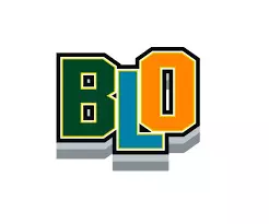 BLO और चुनावी अधिकारियों को बड़ी राहत, चुनाव आयोग ने मानदेय  किया दोगुना