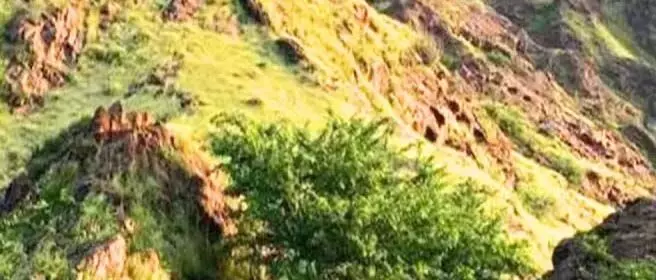 राजस्थान की चट्टानों में मिला इलेक्ट्रिक कार से न्यूक्लियर पावर तक का कच्चा माल, 8 साल में भारत हो सकता है आत्मनिर्भर