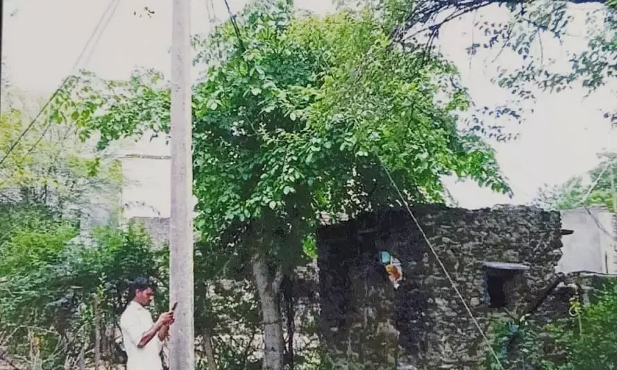 भैंस की करंट से मौत पर विद्युत निगम को क्षतिपूर्ति के आदेश