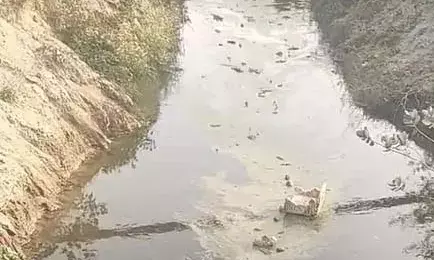 मांडल में मेजा बांध की मुख्य बाई नहर कचरे से दूषित, विभाग ने शुरू कराया सफाई अभियान मांडल में मेजा बांध की मुख्य बाई नहर कचरे से दूषित, विभाग ने शुरू कराया सफाई अभियान