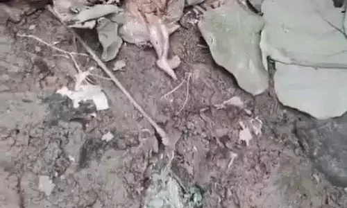 पंचायत भवन के पीछे मिला 4–5 माह का भ्रूण, क्षेत्र में सनसनी पंचायत भवन के पीछे मिला 4–5 माह का भ्रूण, क्षेत्र में सनसनी