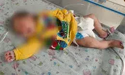 झाड़ियों में मिला नवजात, खून और चींटियों से लथपथ बच्ची को बचाया गया