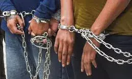 719 करोड़ रुपये का साइबर फ्रॉड गिरोह बेनकाब, बैंक कर्मचारी समेत 10 आरोपी पकड़े गए