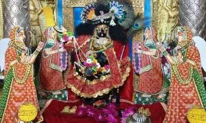रासबिहारी स्वरूप में सांवरिया सेठ: नौगांवा धाम में गोपियों संग किया फूलों का रास विहार