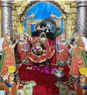 रासबिहारी स्वरूप में सांवरिया सेठ: नौगांवा धाम में गोपियों संग किया फूलों का रास विहार