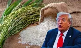 ट्रंप का कड़ा रुख: भारत से आने वाले चावल पर डंपिंग का आरोप, अतिरिक्त टैरिफ की धमकी ट्रंप का कड़ा रुख: भारत से आने वाले चावल पर डंपिंग का आरोप, अतिरिक्त टैरिफ की धमकी