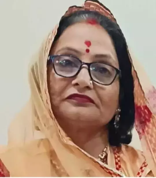 हाईकोर्ट ने भगवानपुरा पंचायत की निवर्तमान सरपंच को दिया स्टे हाईकोर्ट ने भगवानपुरा पंचायत की निवर्तमान सरपंच को दिया स्टे