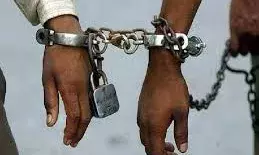 चित्तौडग़ढ़ के दो तस्करों को 12-12 साल की कैद, एक-एक लाख रुपये का जुर्माना भी लगाया