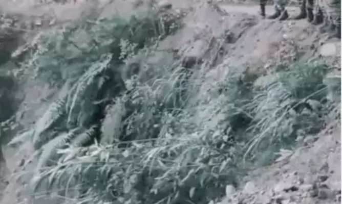 अरुणाचल प्रदेश: 1000 फीट गहरी खाई में ट्रक गिरा, 21 की मौत; जिंदा बचे शख्स ने दो दिन पैदल चलकर दी सूचना