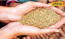 भीलवाड़ा जिले में 337 एनएफएसए परिवार जांच के दायरे में भीलवाड़ा जिले में 337 एनएफएसए परिवार जांच के दायरे में