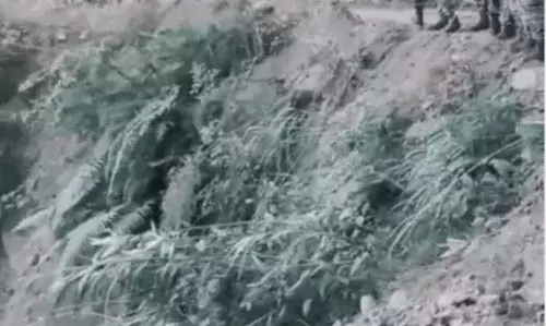 अरुणाचल प्रदेश: 1000 फीट गहरी खाई में ट्रक गिरा, 21 की मौत; जिंदा बचे शख्स ने दो दिन पैदल चलकर दी सूचना