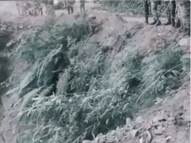 अरुणाचल प्रदेश: 1000 फीट गहरी खाई में ट्रक गिरा, 21 की मौत; जिंदा बचे शख्स ने दो दिन पैदल चलकर दी सूचना अरुणाचल प्रदेश: 1000 फीट गहरी खाई में ट्रक गिरा, 21 की मौत; जिंदा बचे शख्स ने दो दिन पैदल चलकर दी सूचना