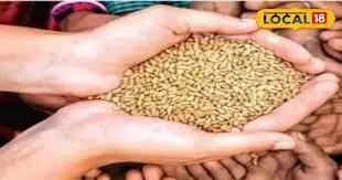 भीलवाड़ा जिले में 337 एनएफएसए परिवार जांच के दायरे में भीलवाड़ा जिले में 337 एनएफएसए परिवार जांच के दायरे में