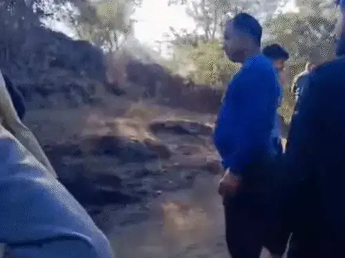 लेपर्ड ने वन-विभाग की टीम पर किया हमला:रेस्क्यू के दौरान दो बार अटैक करने का प्रयास किया, घायलों को कंधों पर उठाकर लाए