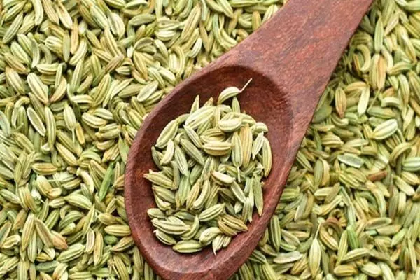 पीरियड्स का दर्द या ऐंठन, सौंफ देगी राहत