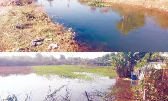 मेजा बांध की नहर टूटने से किसानों को नुकसान मेजा बांध की नहर टूटने से किसानों को नुकसान