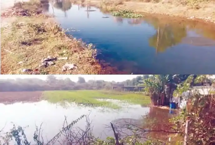 मेजा बांध की नहर टूटने से किसानों को नुकसान मेजा बांध की नहर टूटने से किसानों को नुकसान