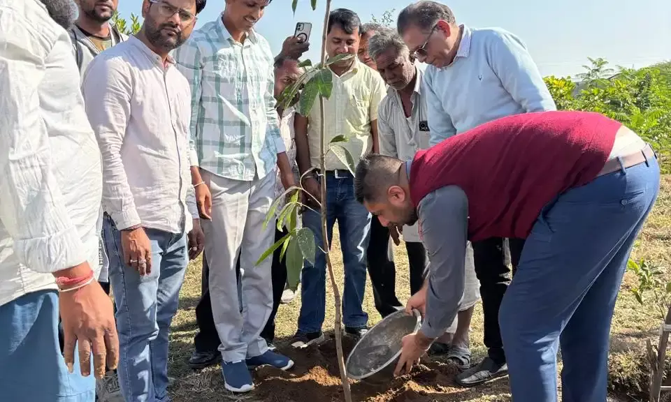जिला कलेक्टर ने सालरिया ग्राम पंचायत के विकास कार्यों का किया निरीक्षण