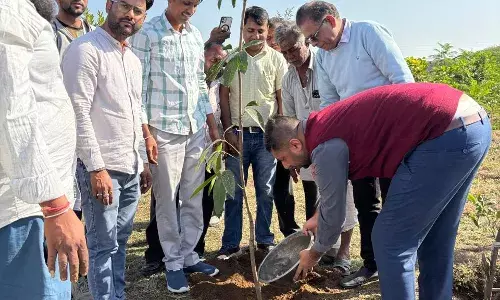 जिला कलेक्टर ने सालरिया ग्राम पंचायत के विकास कार्यों का किया निरीक्षण जिला कलेक्टर ने सालरिया ग्राम पंचायत के विकास कार्यों का किया निरीक्षण