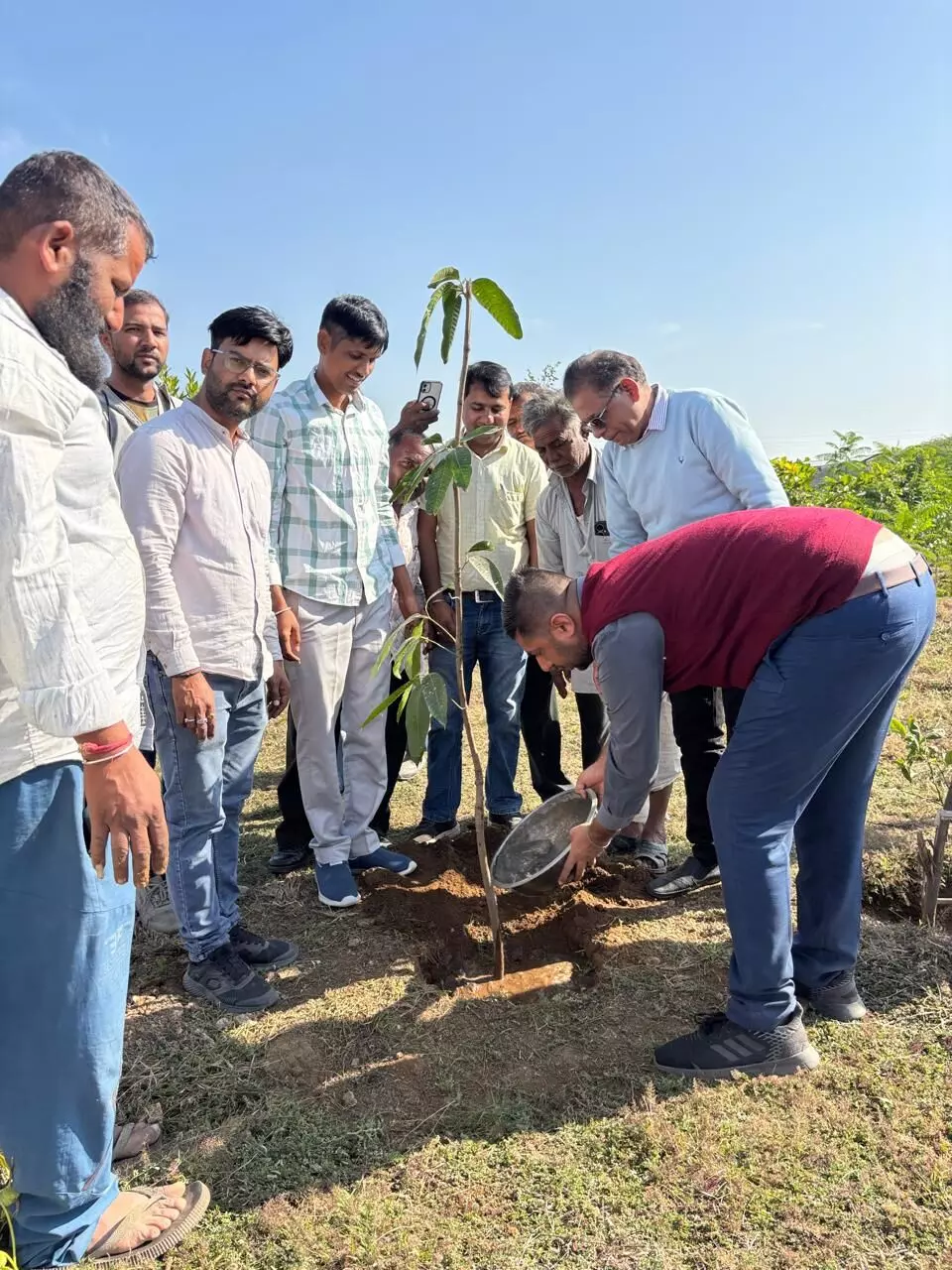 जिला कलेक्टर ने सालरिया ग्राम पंचायत के विकास कार्यों का किया निरीक्षण जिला कलेक्टर ने सालरिया ग्राम पंचायत के विकास कार्यों का किया निरीक्षण