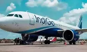 सुप्रीम कोर्ट ने इंडिगो विवाद में दखल नहीं दिया, याचिकाकर्ता को दिल्ली HC का रुख करने की सलाह सुप्रीम कोर्ट ने इंडिगो विवाद में दखल नहीं दिया, याचिकाकर्ता को दिल्ली HC का रुख करने की सलाह