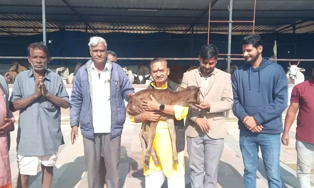 संस्कृत संभाषण सनातन संस्कृति की मूल धरोहर हैं –  पालीवाल