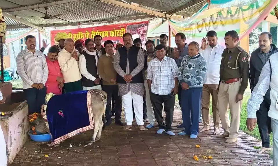 सरकार के दो वर्ष पूर्ण होने पर गौमाता की पूजन कर लापसी खिलाई