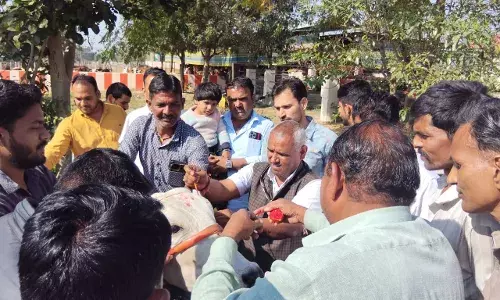 गौ पूजन एवं गौ सेवा कर मनाया सीएम शर्मा का जन्मदिवस गौ पूजन एवं गौ सेवा कर मनाया सीएम शर्मा का जन्मदिवस