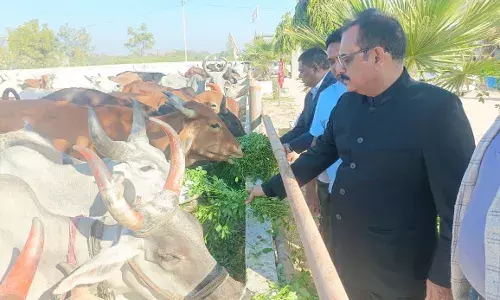 गौ-सेवा हमारी संस्कृति का अभिन्न अंग :कलक्टर