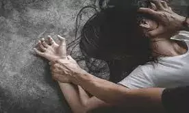 छात्रा के साथ  11वीं   के छात्र ने किया  बलात्कार