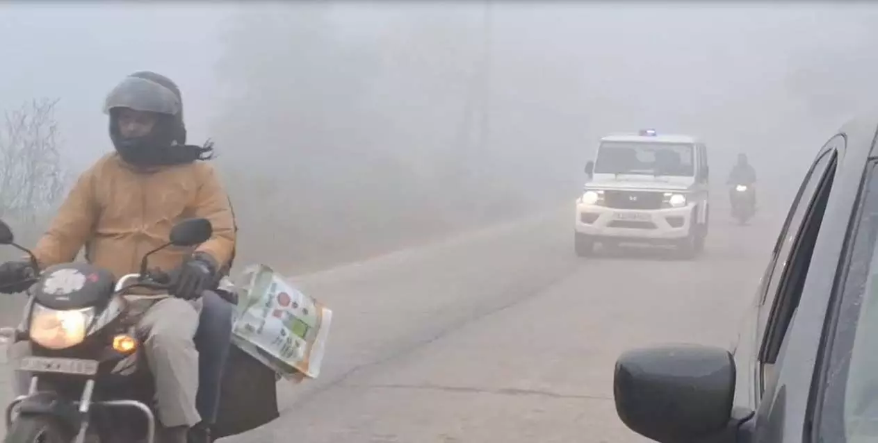 डीग जिले में सीजन का पहला कोहरा बना लोगों के लिये नासूर डीग जिले में सीजन का पहला कोहरा बना लोगों के लिये नासूर