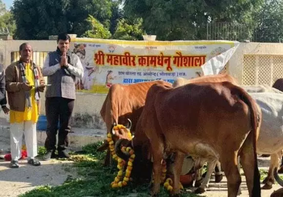 मुख्यमंत्री भजनलाल शर्मा के जन्मदिन पर गोशाला में सेवा कार्य मुख्यमंत्री भजनलाल शर्मा के जन्मदिन पर गोशाला में सेवा कार्य