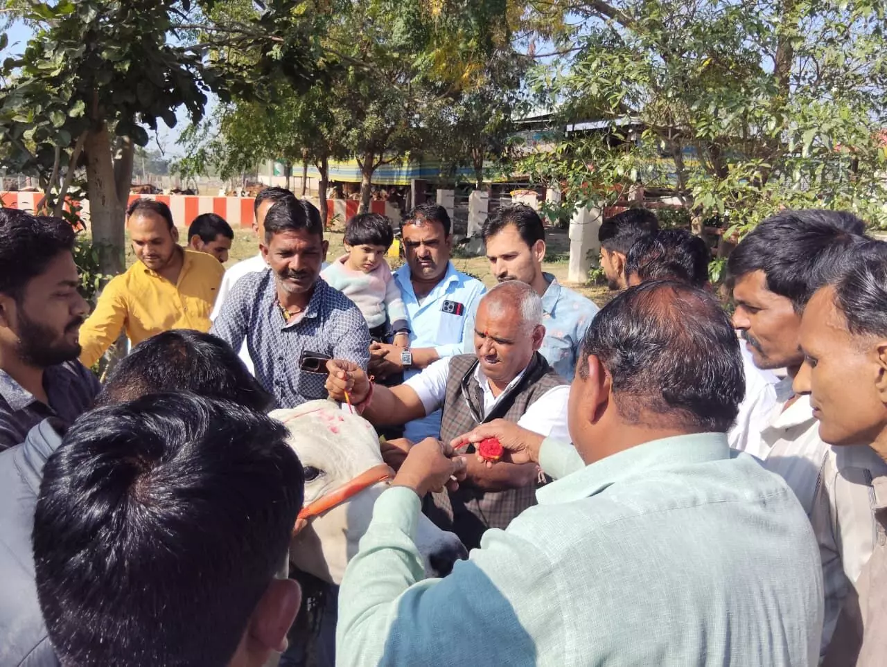 गौ पूजन एवं गौ सेवा कर मनाया सीएम शर्मा का जन्मदिवस गौ पूजन एवं गौ सेवा कर मनाया सीएम शर्मा का जन्मदिवस