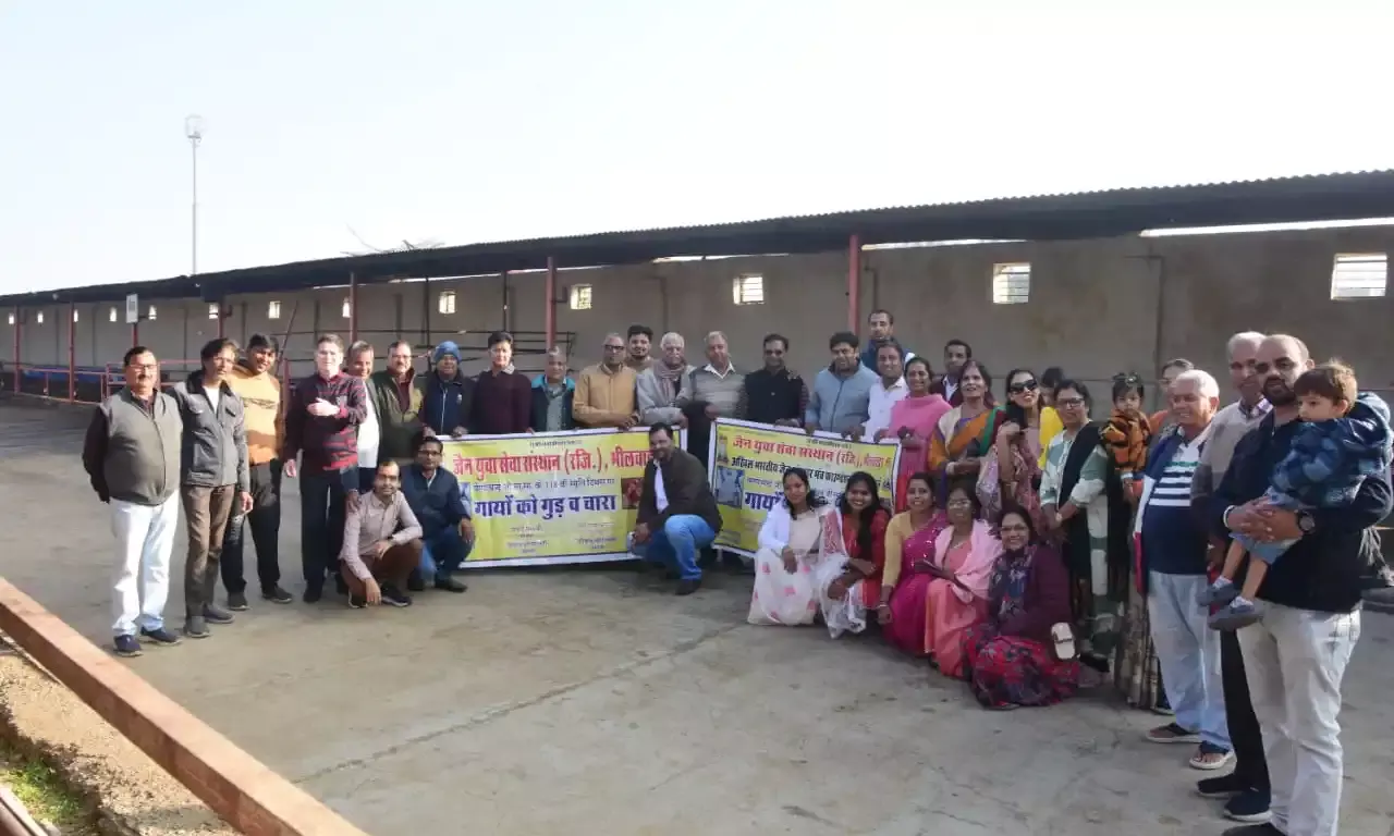 वेणीचंद म सा की पुण्यस्मृति में जैन युवा   द्वारा किया गया गौ सेवा कार्यक्रम