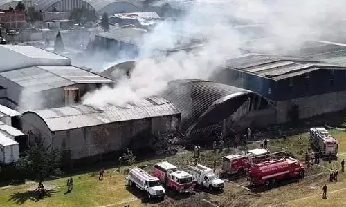 मध्य मैक्सिको में इमरजेंसी लैंडिंग के दौरान प्राइवेट प्लेन क्रैश, हादसे में 7 लोगों की मौत मध्य मैक्सिको में इमरजेंसी लैंडिंग के दौरान प्राइवेट प्लेन क्रैश, हादसे में 7 लोगों की मौत