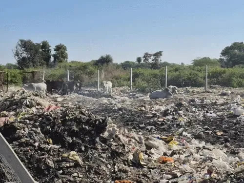 मांडल में कचरे का अड्डा बना मौत का जाल, ग्रामीणों का फूटा आक्रोश