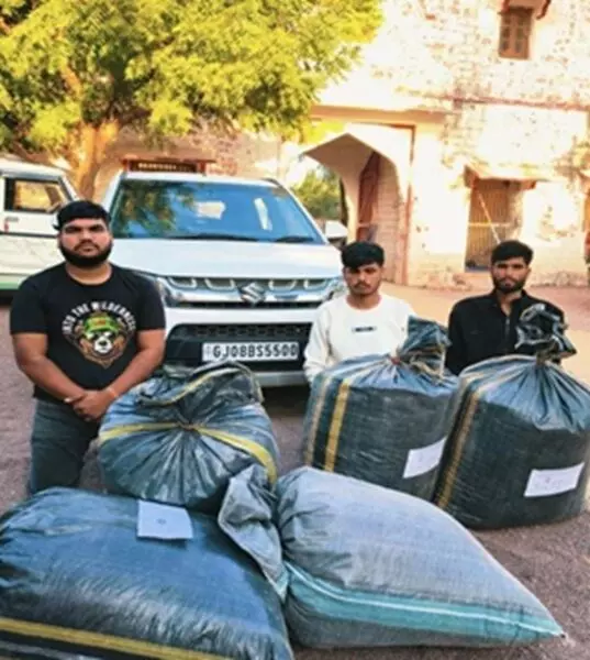 कार से 96.240 किलो अवैध डोडा पोस्त बरामद, तीन तस्कर गिरफ्तार कार से 96.240 किलो अवैध डोडा पोस्त बरामद, तीन तस्कर गिरफ्तार