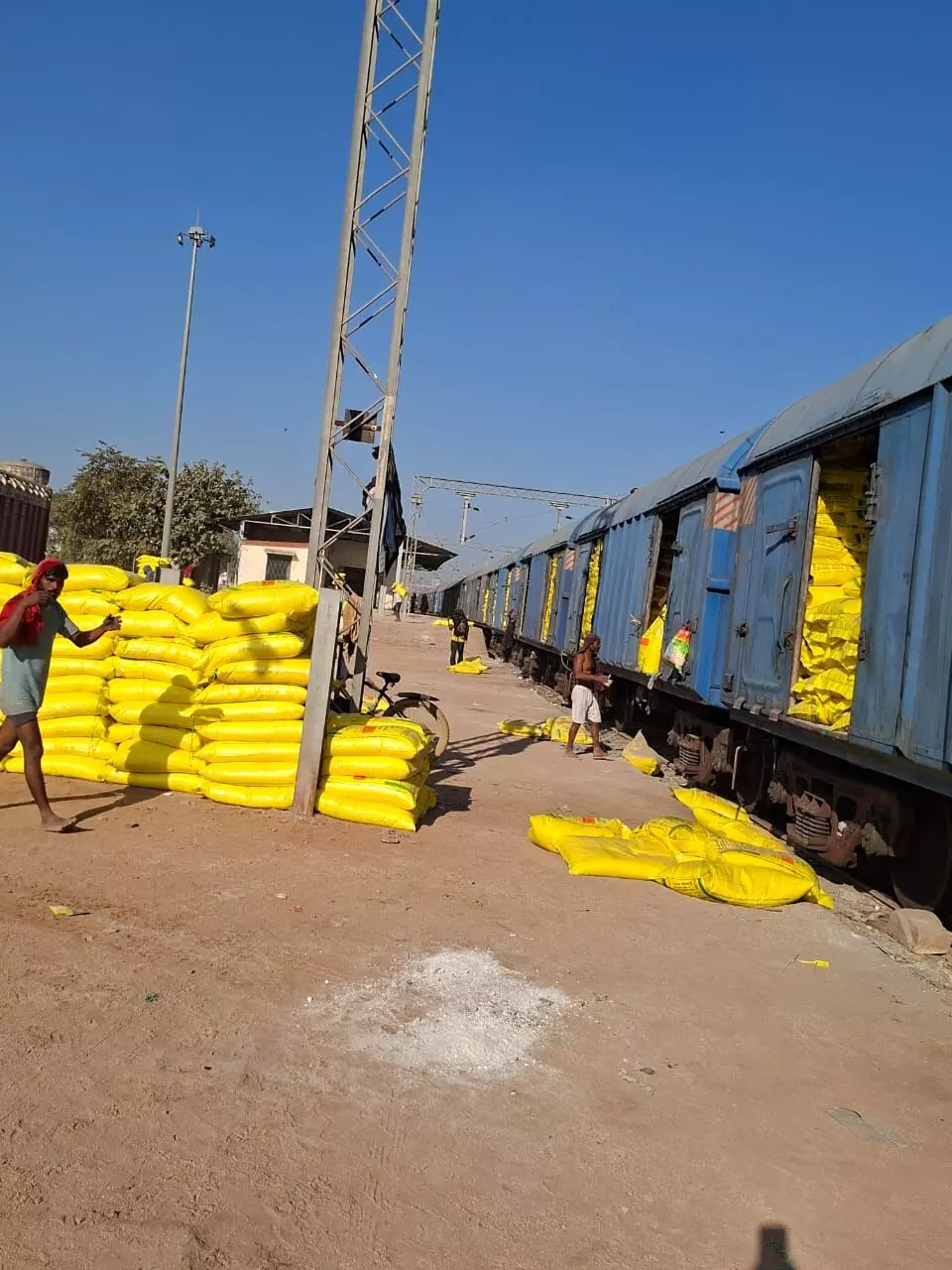 यूरिया की निरंतर आपूर्ति जारी, कालाबाजारी पर सख्त निगरानी यूरिया की निरंतर आपूर्ति जारी, कालाबाजारी पर सख्त निगरानी