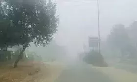 राजस्थान में मौसम ने ली करवट, ठंडी हवाओं के साथ कोहरे की चेतावनी