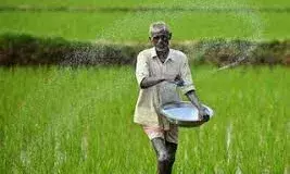 यूरिया वितरण में खामी पर प्रशासन ने की कार्रवाई, किसानों को मिला नियमानुसार यूरिया