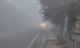 राजस्थान के सीमावर्ती शहरों में छाया घना कोहरा, तापमान में तेज गिरावट, जानें ताजा मौसम का हाल