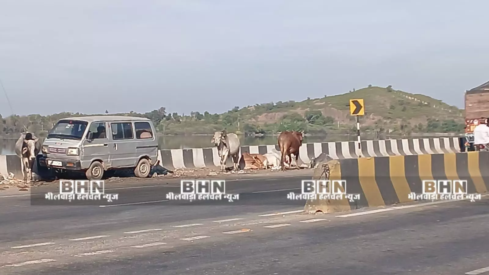 गुरलां टोल प्लाजा और हाईवे बने गौशाला, यातायात प्रभावित, हादसे की आशंका, मवेशी असुरक्षित गुरलां टोल प्लाजा और हाईवे बने गौशाला, यातायात प्रभावित, हादसे की आशंका, मवेशी असुरक्षित