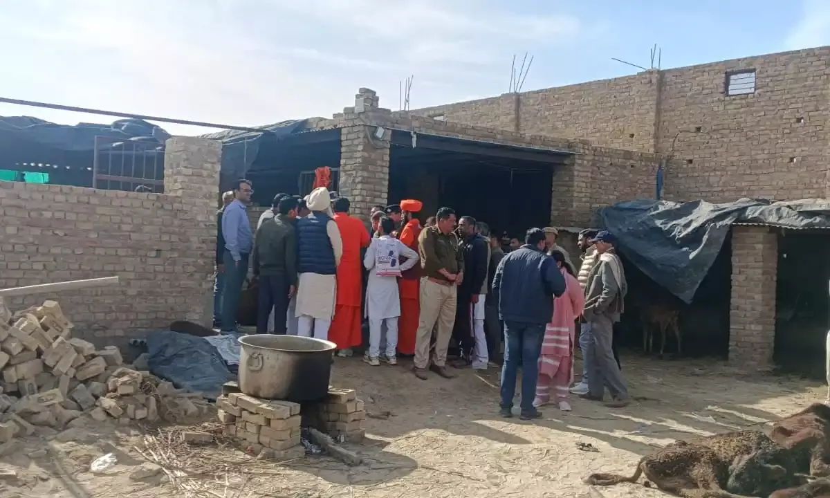 भोमपुरा गौशाला में 100 से अधिक गायों की मौत, अध्यक्ष और मैनेजर सहित प्रबंध समिति पर केस, जांच कमेटी गठित