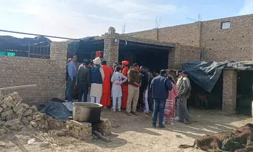 भोमपुरा गौशाला में 100 से अधिक गायों की मौत, अध्यक्ष और मैनेजर सहित प्रबंध समिति पर केस, जांच कमेटी गठित