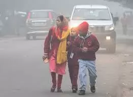 बिहार में घना कोहरा, स्कूलों का समय बदला, हादसों में 7 की मौत बिहार में घना कोहरा, स्कूलों का समय बदला, हादसों में 7 की मौत